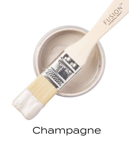 Champagne Metallic Paint